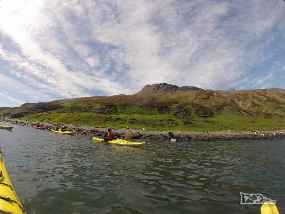 Em dia de muito sol, nosso grupo aproveita para fazer caiaque em Ocean Harbour, na Geórgia do Sul